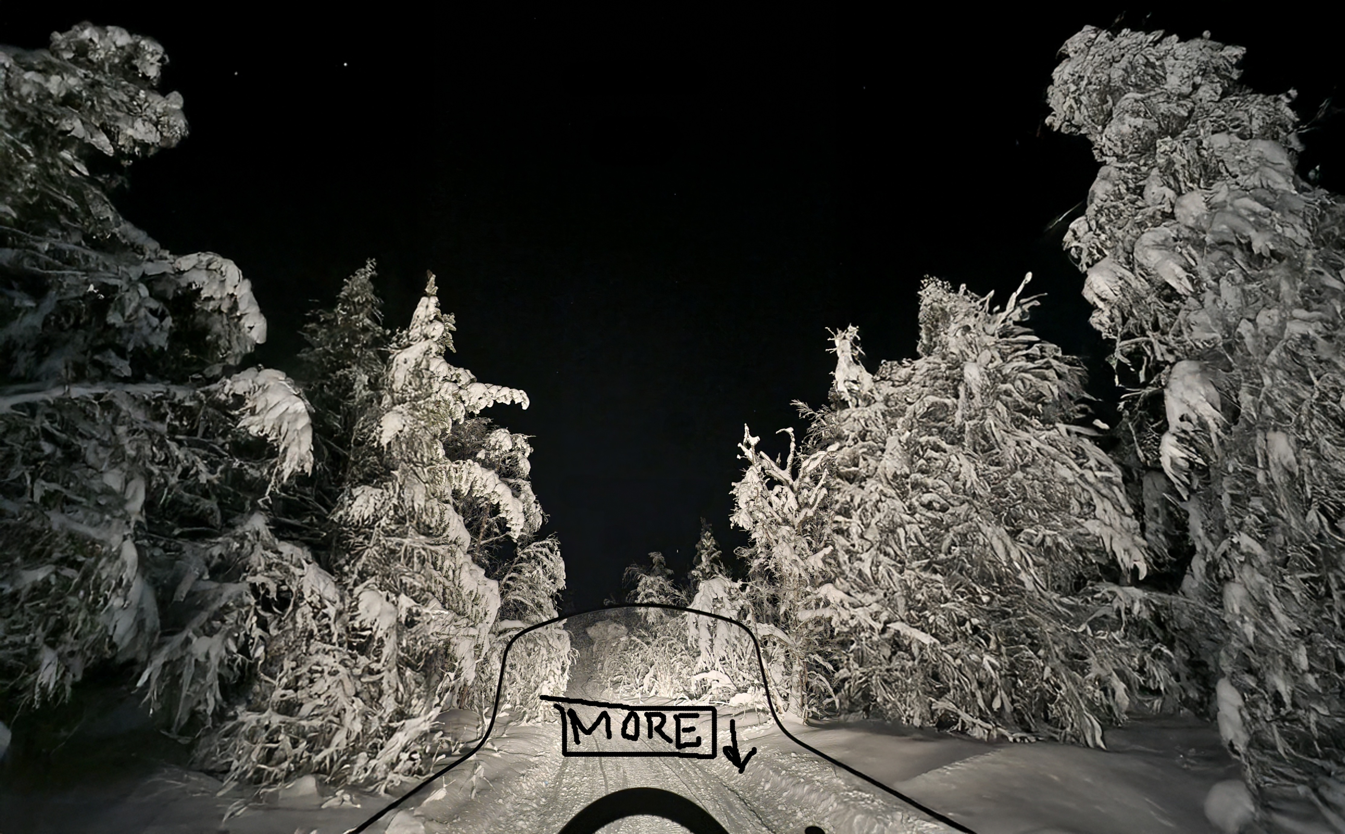 Snowmobile tour through snowy forest